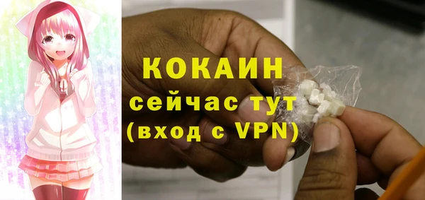 ПСИЛОЦИБИНОВЫЕ ГРИБЫ Коряжма