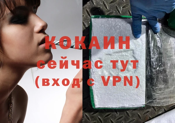 Альфа ПВП Корсаков