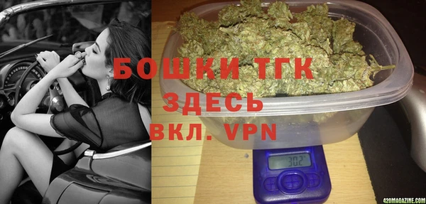 Альфа ПВП Корсаков
