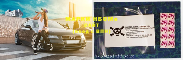 ПСИЛОЦИБИНОВЫЕ ГРИБЫ Коряжма