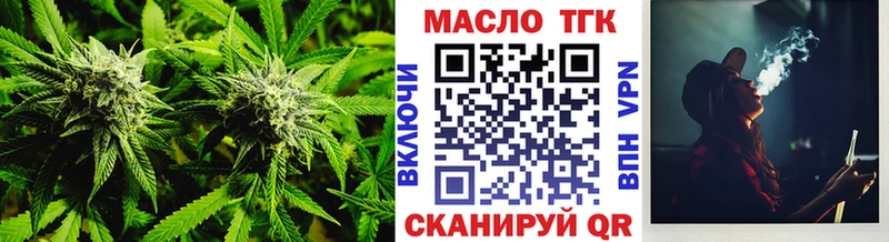 Купить где  Новая Ладога  ТГК концентрат 