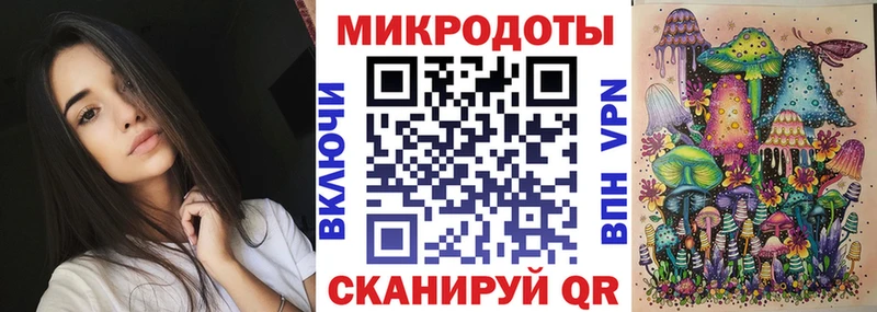 Купить закладки  Новая Ладога  Галлюциногенные грибы Psilocybe 