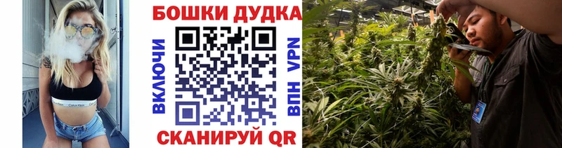 Купить закладки  Новая Ладога  Бошки марихуана конопля 